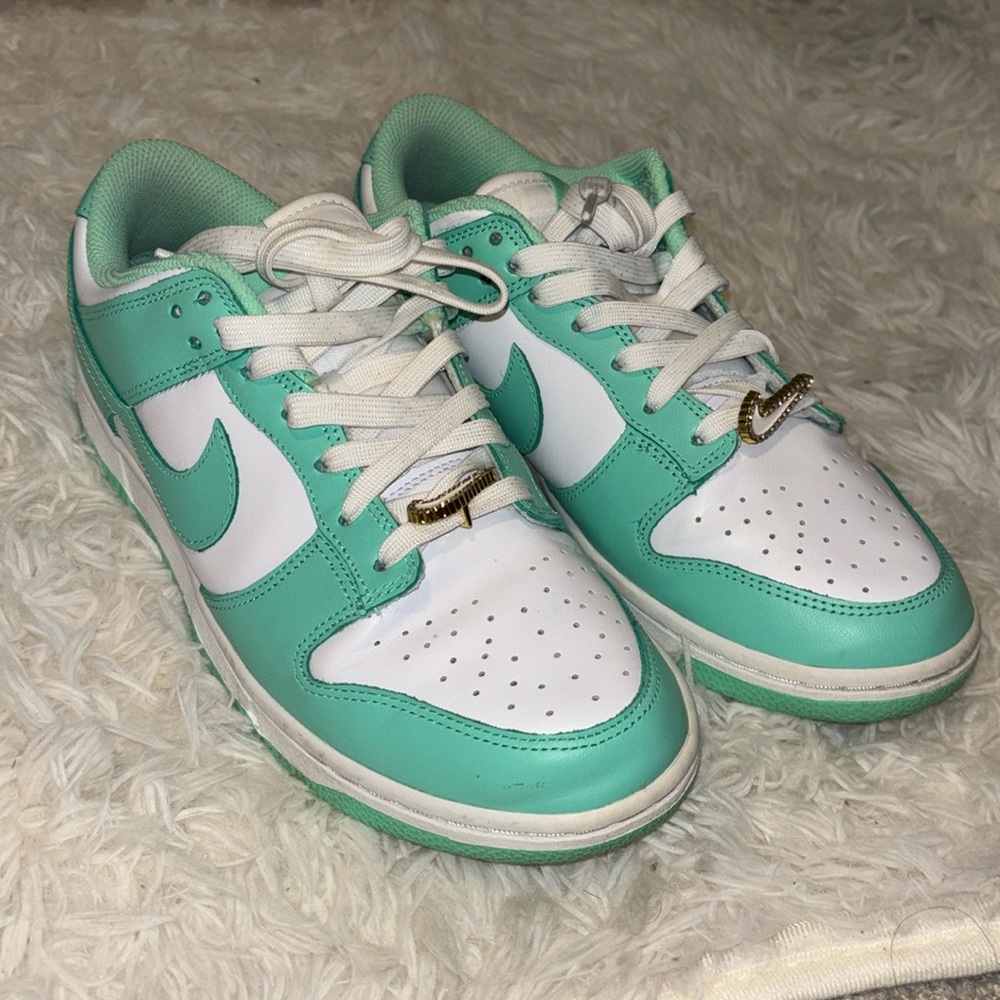 Nike dunks size 9